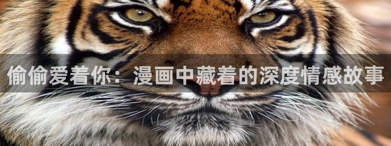 汗汗漫画网址入口