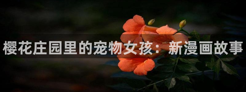 汗汗漫画官网